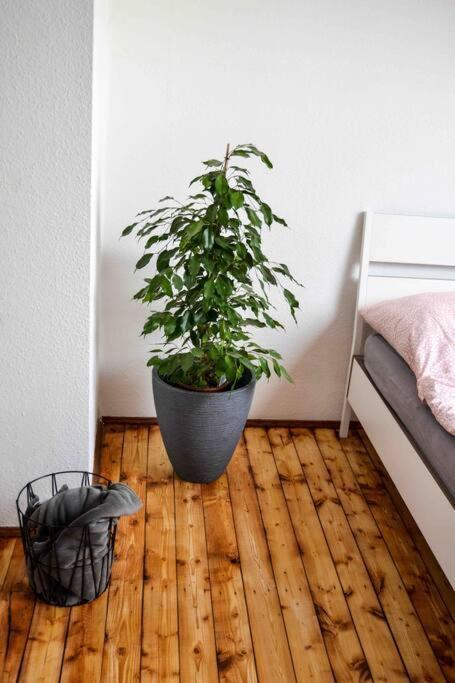 Schoene Dachgeschosswohnung Nahe Koeln Bagian luar foto